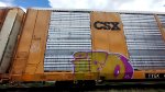 CSX G50163 TTGX 699838